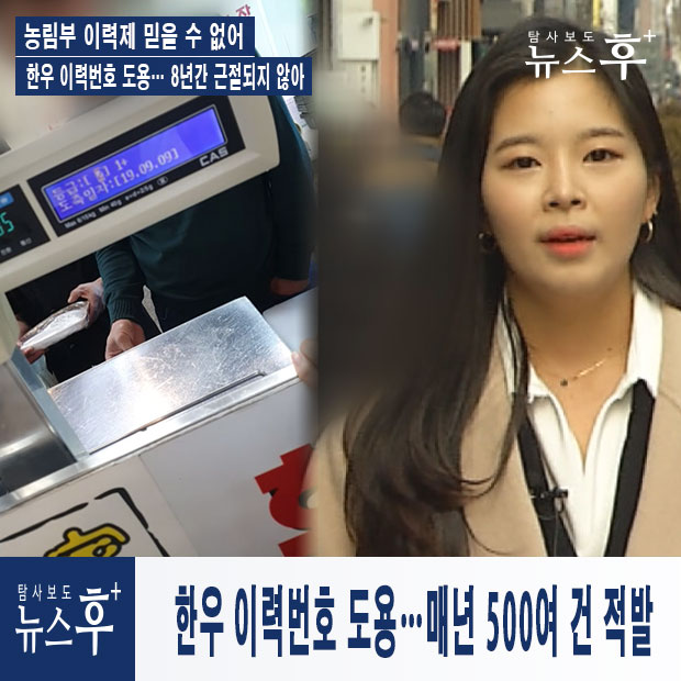 한우 이력번호 도용…"매년 500여 건 적발"